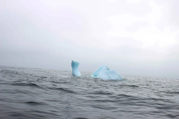 Wave Crashing Small Iceberg Bit Floating Sea — Stockfoto