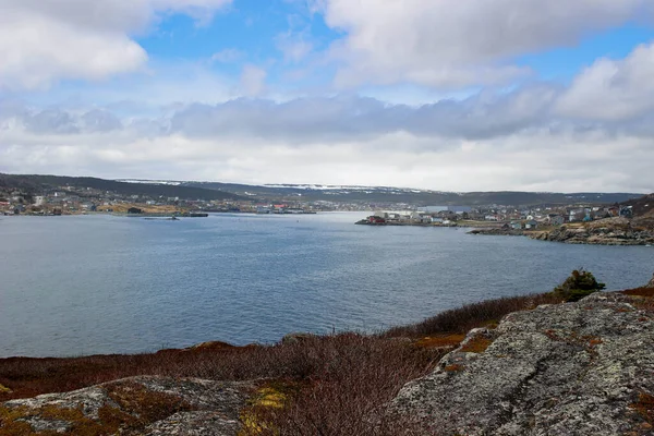 Marguerite Bay Anthony Újfundland Kanada Észak Amerika — Stock Fotó