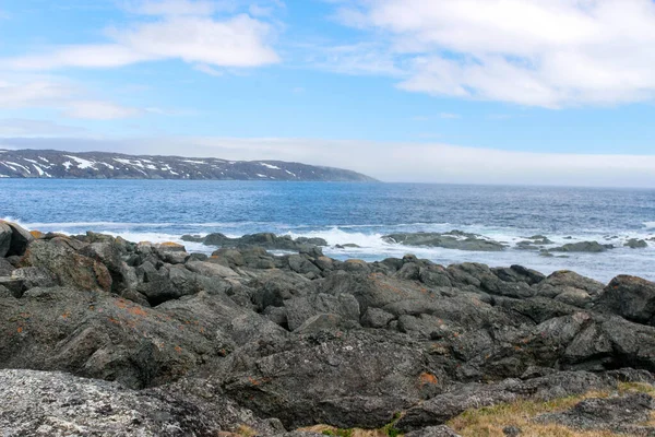 Marguerite Bay Anthony Neufundland Kanada Nordamerika — Stockfoto