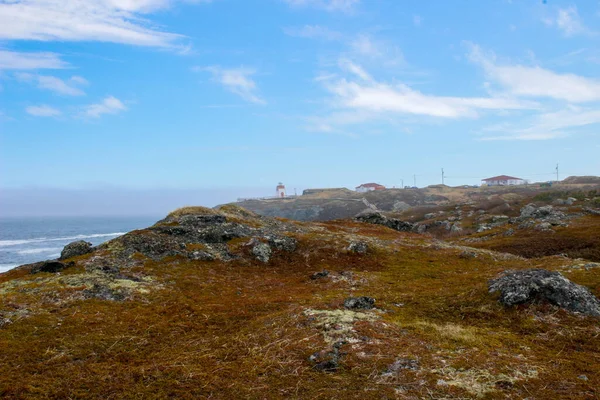 Marguerite Bay Anthony Újfundland Kanada Észak Amerika — Stock Fotó