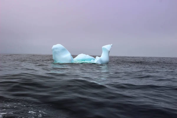 Wave Crashing Small Iceberg Bit Floating Sea — Stockfoto