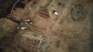 Lanse Meadows UNESCO 'nun Newfoundland' daki dünya mirası bölgesi, Viking yerleşimi. Yüksek kalite 4k görüntü