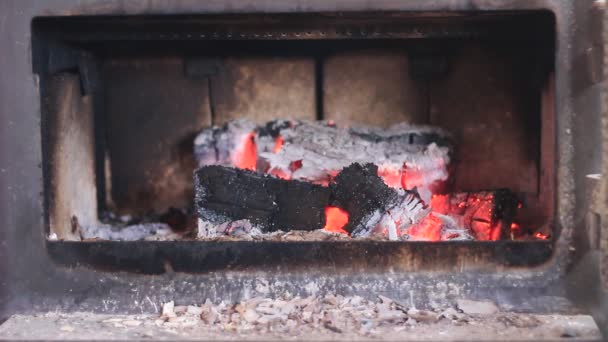 Brandend Brandhout Een Potbuikkachel Vlammend Vuur Een Houtkachel Retro Hoge — Stockvideo