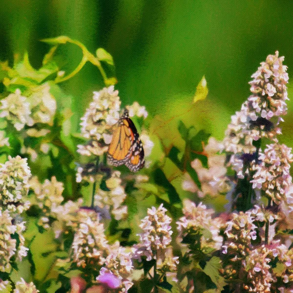Monarch Butterfly Flowers Water Color — Fotografia de Stock