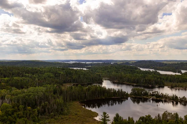 Bella Vista Sul Fiume Nella Foresta — Foto Stock