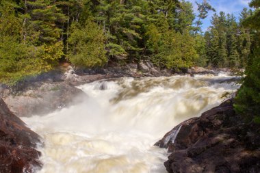 Ormanda güzel bir şelale