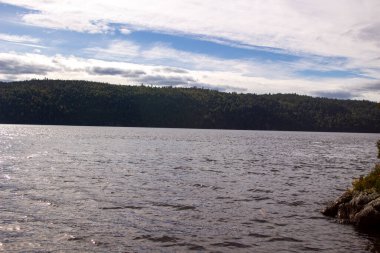 Ormandaki gölün güzel manzarası