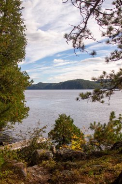 Ormandaki gölün güzel manzarası