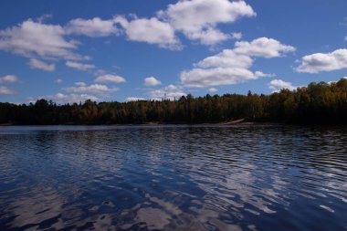 Eylül 2022 'de Kuzey Ontario Kanada' nın manzarası