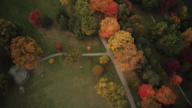 Londra Ontario Kanada 'da sonbahar renkleri çiçek açıyor. Orman şehri olarak bilinir. Yüksek kalite 4k görüntü