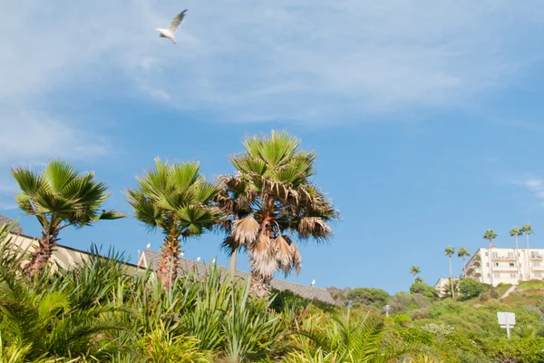 Wunderbare Landschaft — Stockfoto