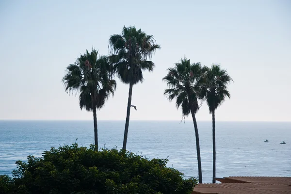 Vista para o Oceano Pacífico — Fotografia de Stock