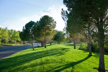 yeşil alan üzerinde parlak gün batımı.