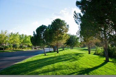 yeşil alan üzerinde parlak gün batımı.