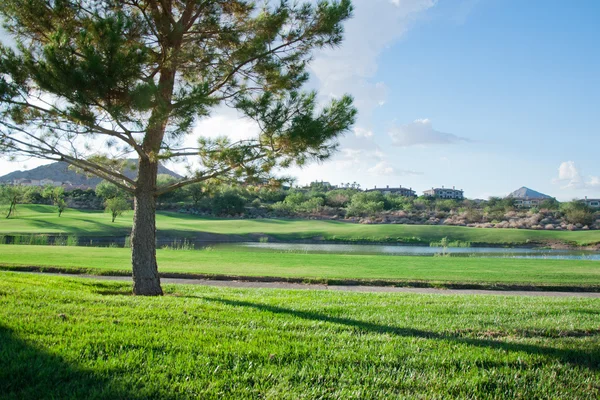 Pôr do sol brilhante sobre o campo verde . — Fotografia de Stock