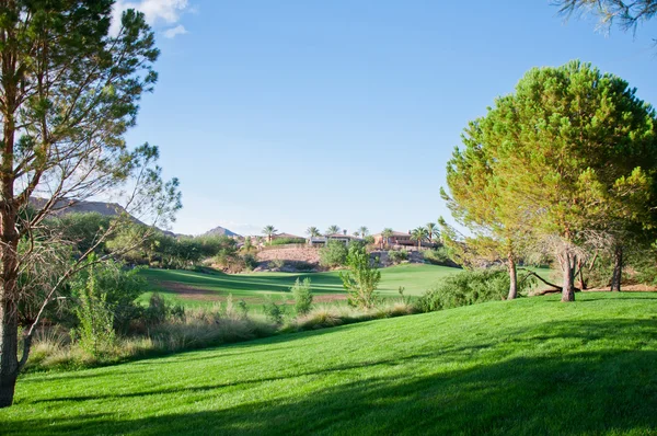 Tramonto luminoso sul campo verde . — Foto Stock