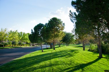 yeşil alan üzerinde parlak gün batımı.