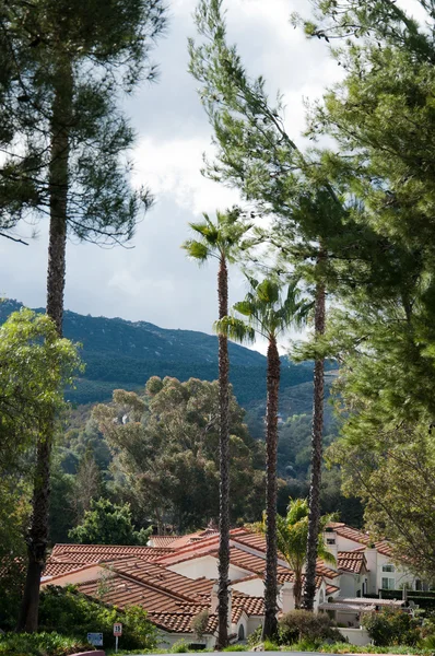 Casa e giardino — Foto Stock