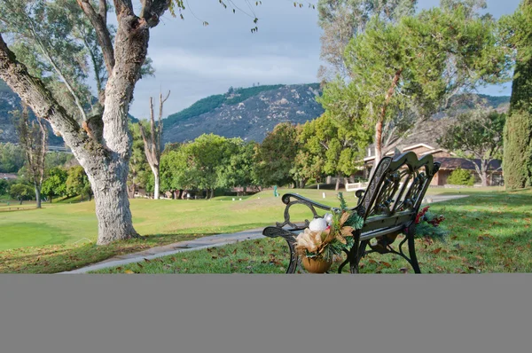 Centro de Parque — Foto de Stock