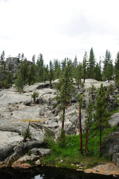 South san soaquin rivier Californië vork — Stockfoto