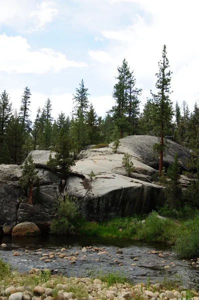 South Gabel San Soaquin River Kalifornien — Stockfoto