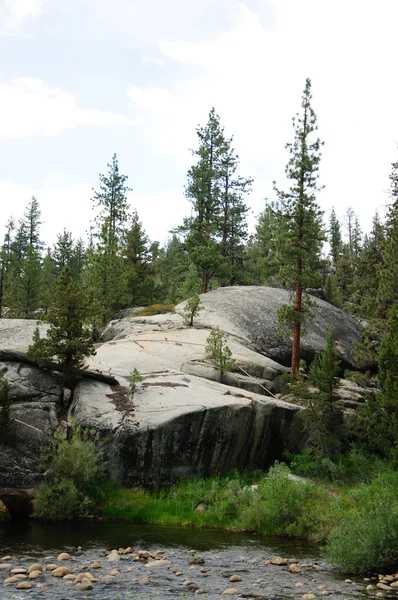 South fork san soaquin river Kalifornie — Stock fotografie