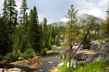South san soaquin Nehri california çatal