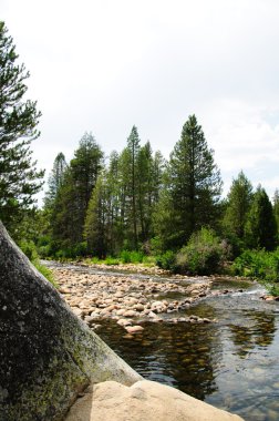 South san soaquin Nehri california çatal