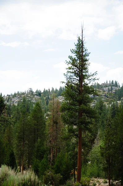 Krásný výhled na pohoří Kalifornie — Stock fotografie