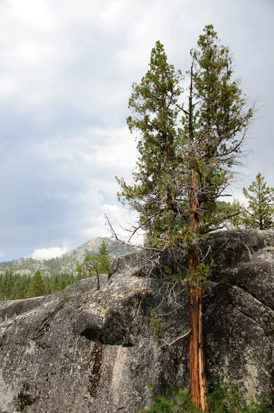 Een prachtig uitzicht op de berg van Californië — Stockfoto