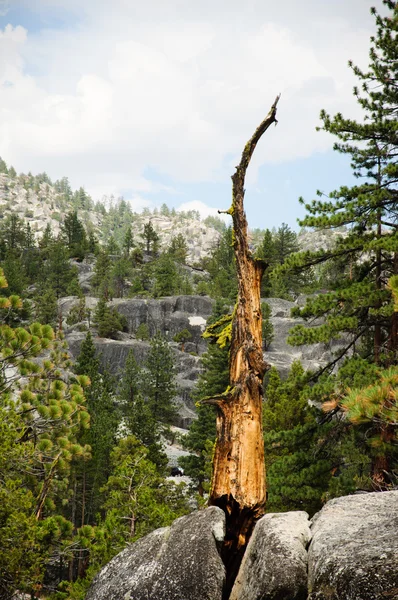 Fourche sud Rivière San Soaquin Californie — Photo