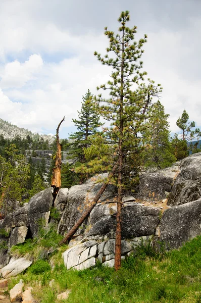 Krásný výhled na pohoří Kalifornie — Stock fotografie