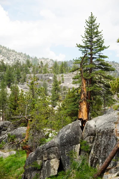 Een prachtig uitzicht op de berg van Californië — Stockfoto