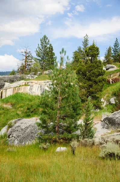 Güzel bir california dağ manzarası — Stok fotoğraf