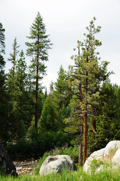 Gyönyörű kilátás nyílik a California-hegy Stock Kép