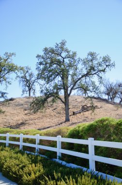 Egzersiz ve yürüyüş için yaya yürüme yolu