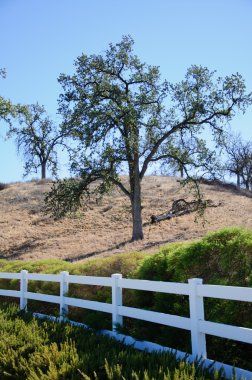Egzersiz ve yürüyüş için yaya yürüme yolu