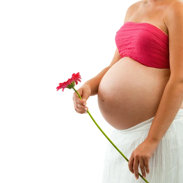 Zwangere vrouw bedrijf roze bloem. — Stockfoto