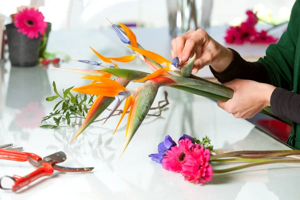 Mani femminili organizzare bouquet . — Foto Stock