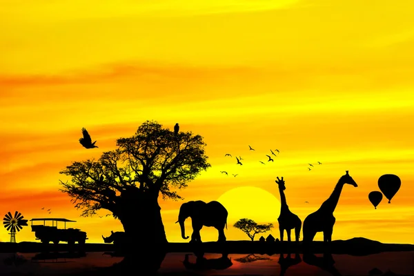 Konseptuell africansk safari backround . – stockfoto