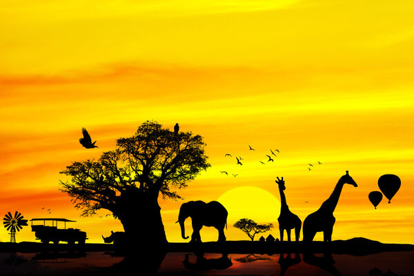 Conceptual african safari background with animal silhouettes at sunset.