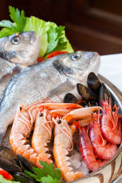 Detalhe de perto de prato de frutos do mar crus . — Fotografia de Stock