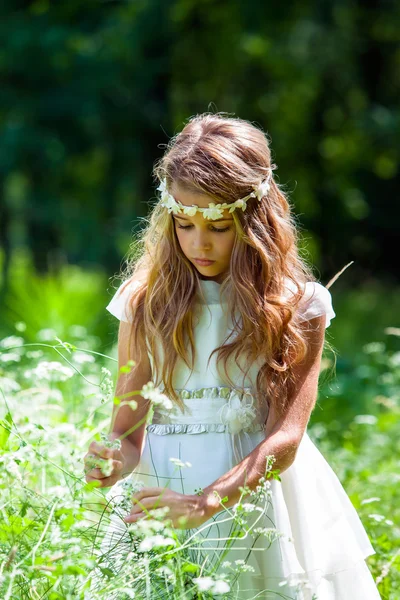 Meisje in witte jurk plukken bloemen. — Stockfoto