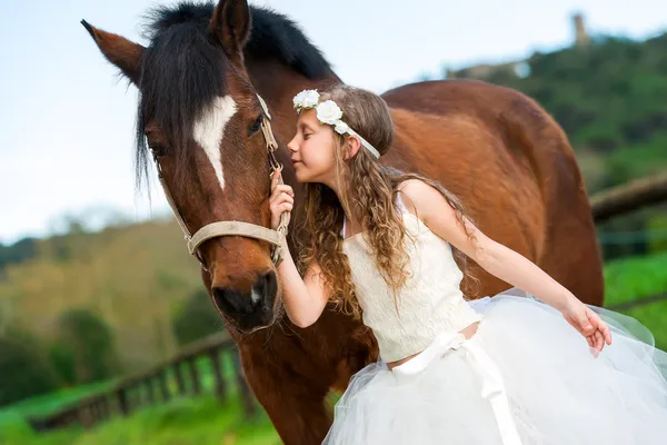 Девушка целует лошадь — стоковое фото