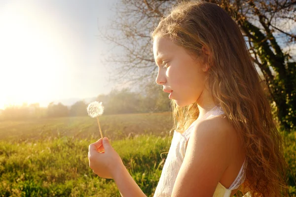 Chica sosteniendo diente de león al atardecer . — Foto de Stock