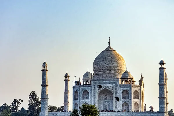 Taj Mahal Com Corvos Voadores Agra Uttar Pradesh Índia — Fotografia de Stock