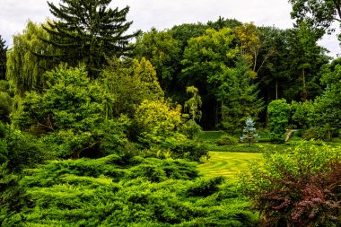 Plants around lake in Polish park - Zelazowa Wola, Masovia, Poland