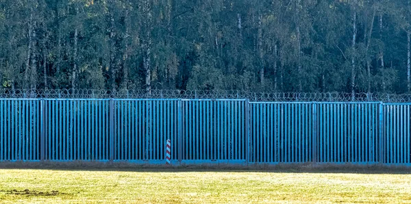 Пограничная Стена Беларуси Беловежской Пуще Польша Лицензионные Стоковые Изображения
