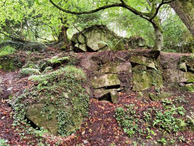 Kennall Vadi Doğa Rezervi, Ponsanooth, Cornwall, Birleşik Krallık