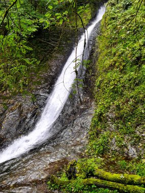 Yağmur Altındaki Beyaz Kadın Şelalesi - Lydford Boğazı, Dartmoor Ulusal Parkı, Devon, Birleşik Krallık